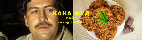 дмт Алексин