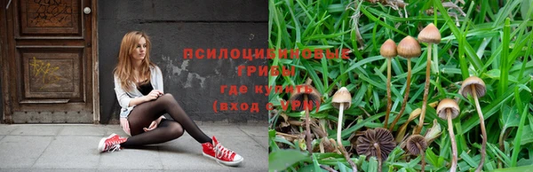 mix Покачи